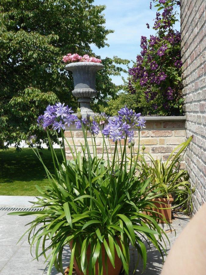 B&B Casabelle Boekhoute Exterior foto